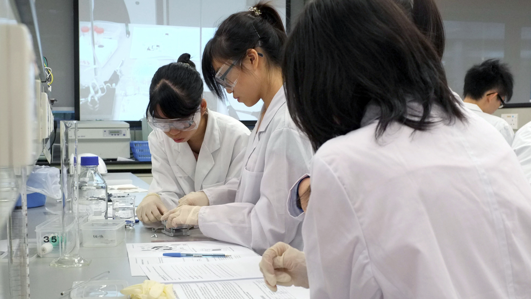 School of Biomedical Sciences established